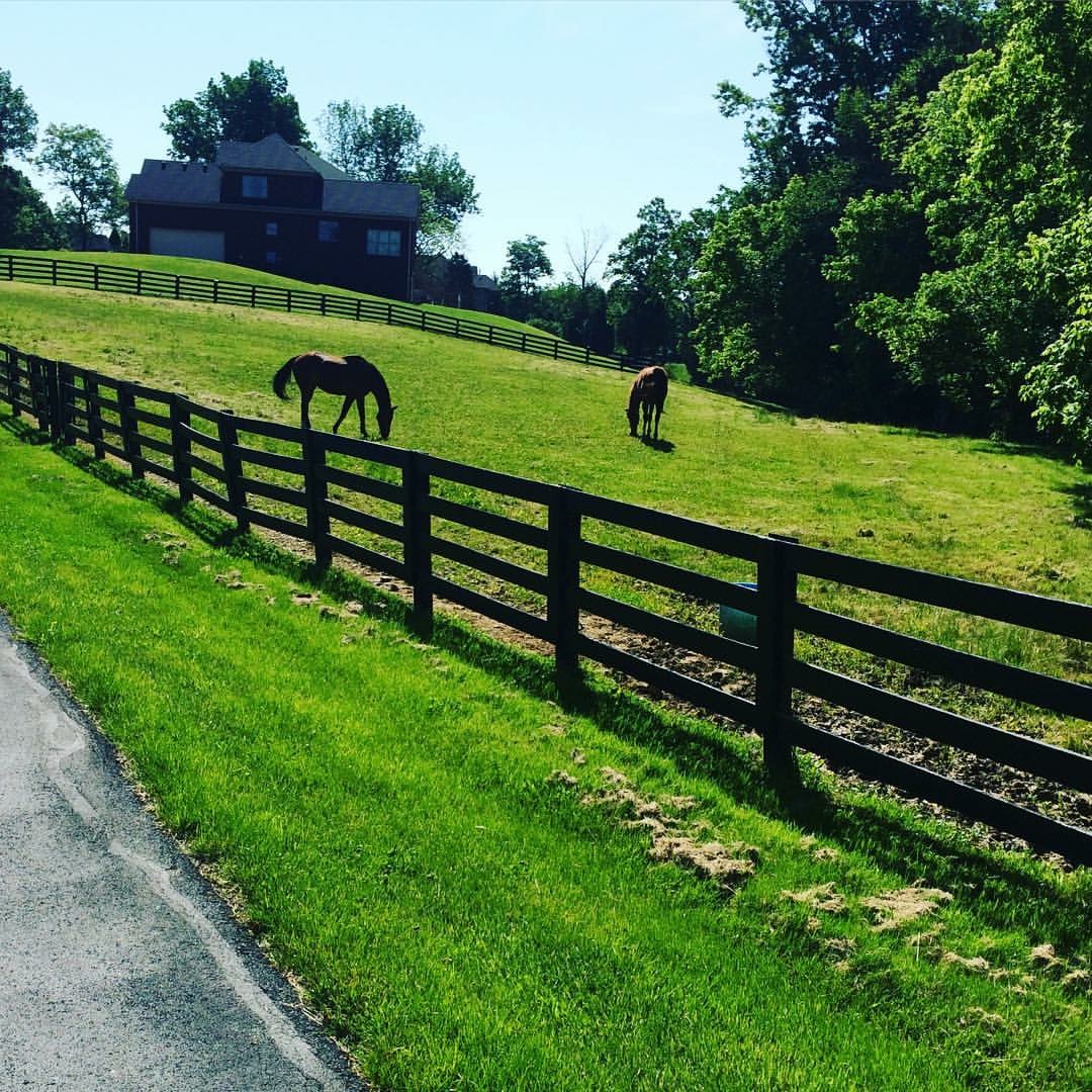 Two horses grazing a fenced, grass field with a large home in the background